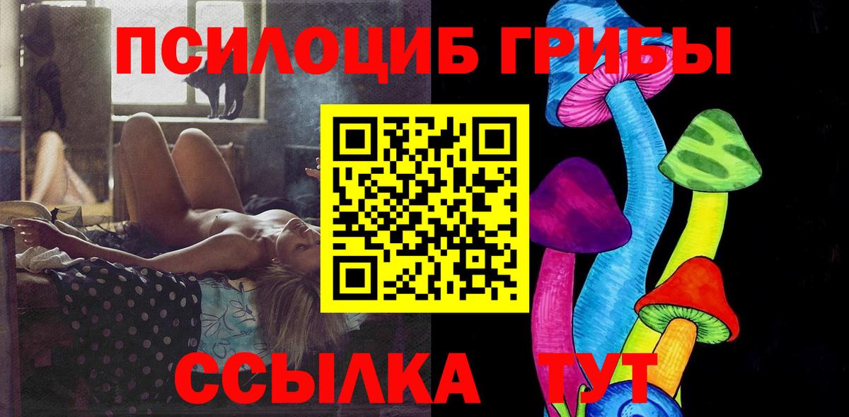 Псилоцибиновые грибы GOLDEN TEACHER Верхняя Пышма