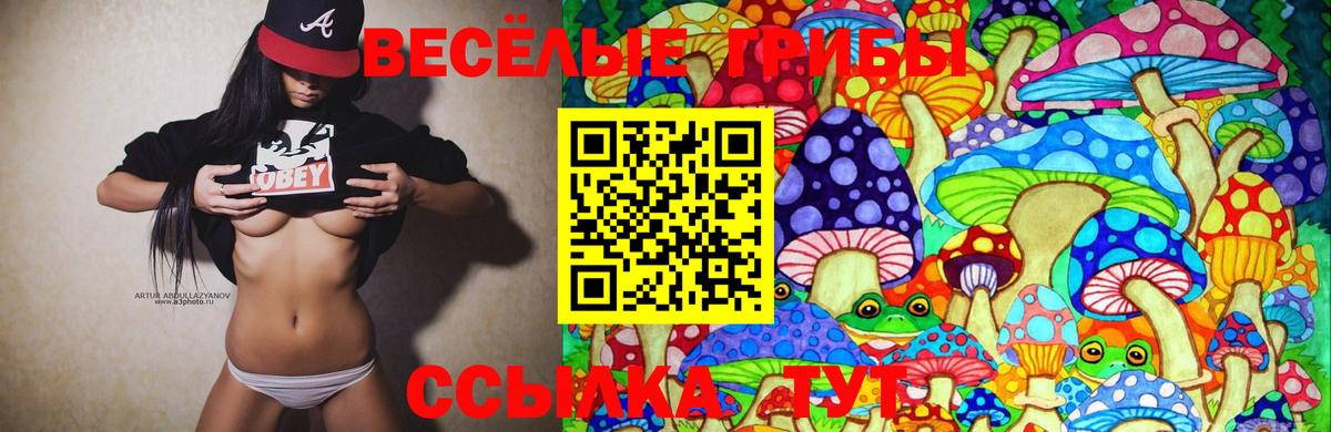 Верхняя Пышма  Псилоцибиновые грибы GOLDEN TEACHER  Галлюциногенные грибы Psilocybe  Вход с VPN 